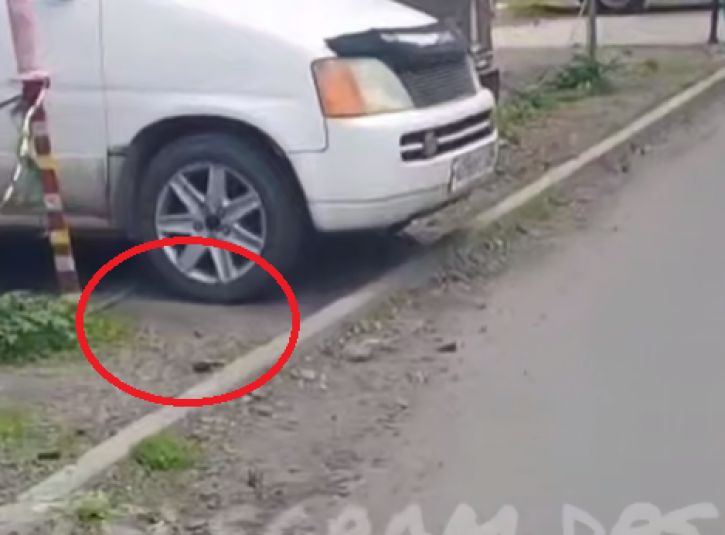 "А если рванет?": опасная находка во дворе жилого дома переполошила владивостокцев - видео