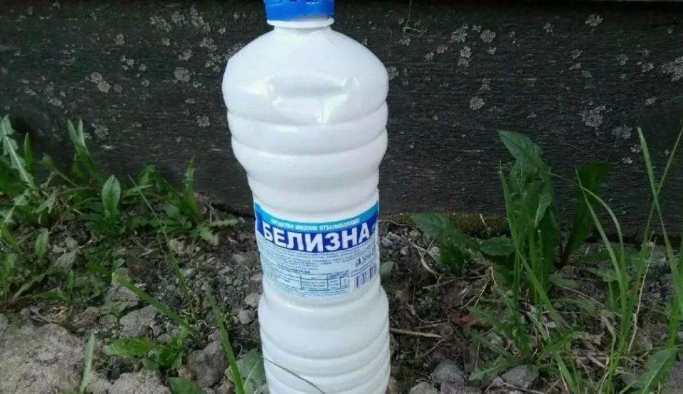 Одна бутылка белизны — минус куча проблем в огороде — копеечный способ избавит растения от болезней и вредителей