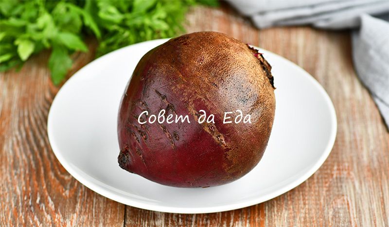      :  25    