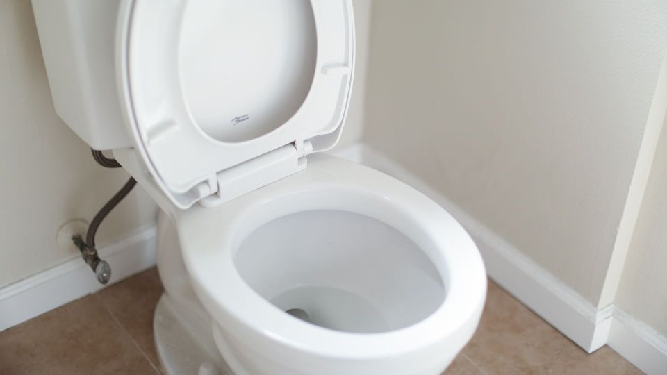  -  :       
