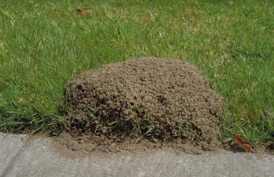        :   