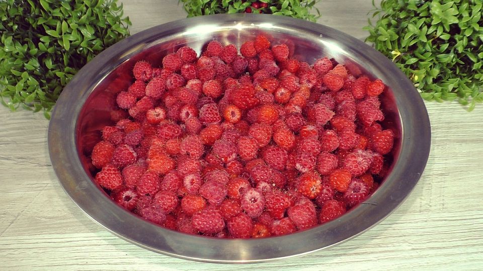   :      Wildberries