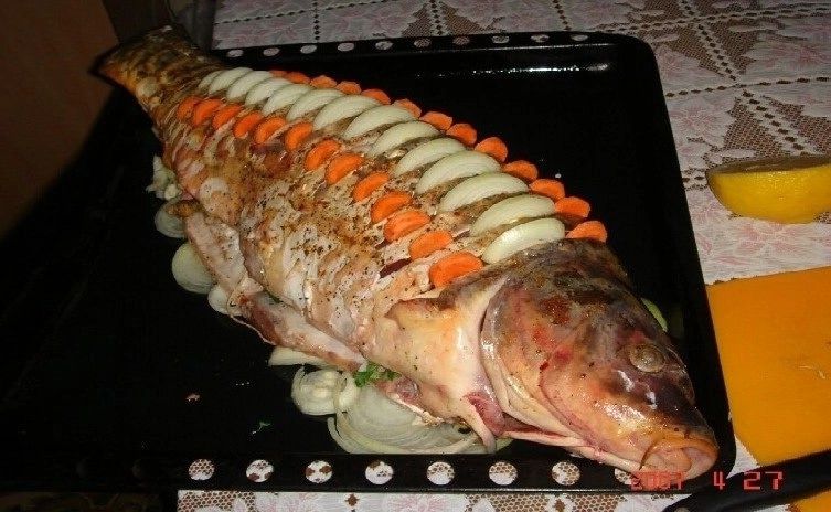    -:      
