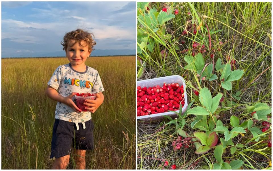 Открывая Аляску: природные сокровища и богатства жизни на краю света