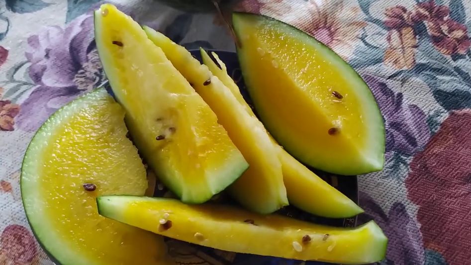 Как вырастить сладкий желтый арбуз: секреты успеха от неудачника до мастера