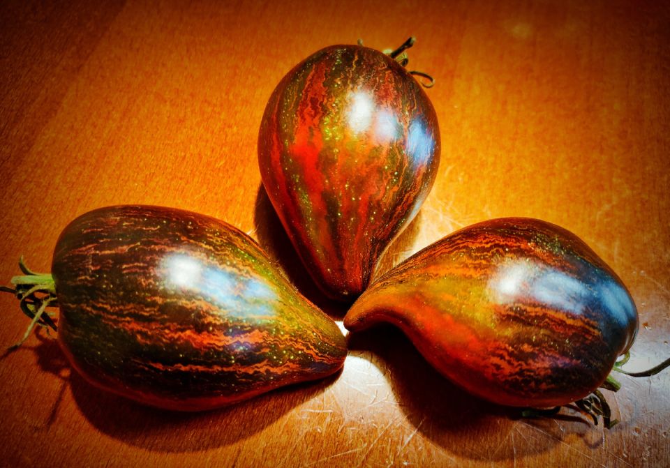 Томаты, которые завоевали сердца садоводов: топ-сорта 2025 года