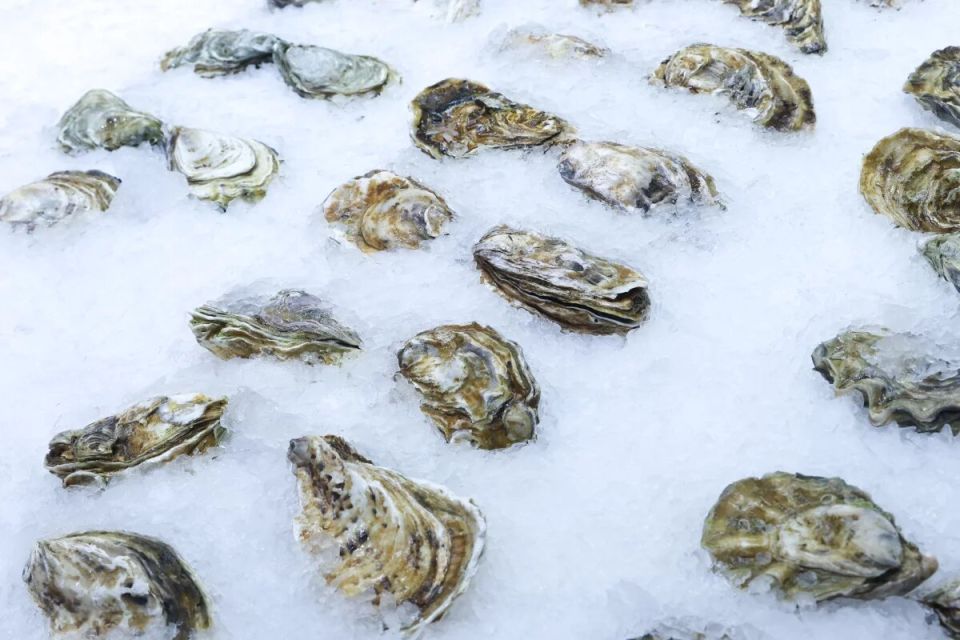 Устрицы в ресторанах: что нужно знать о рисках заражения норовирусом