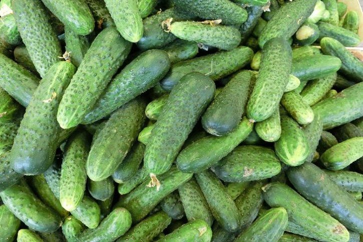 Как приготовить хрустящие огурцы в томатном маринаде