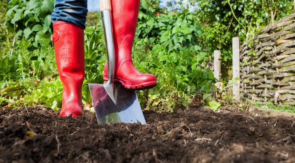 Почему осеннее перекопка огорода теряет популярность: новые взгляды на подготовку почвы