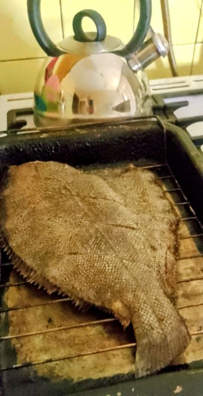 Камбала на гриле: просто, быстро и очень вкусно