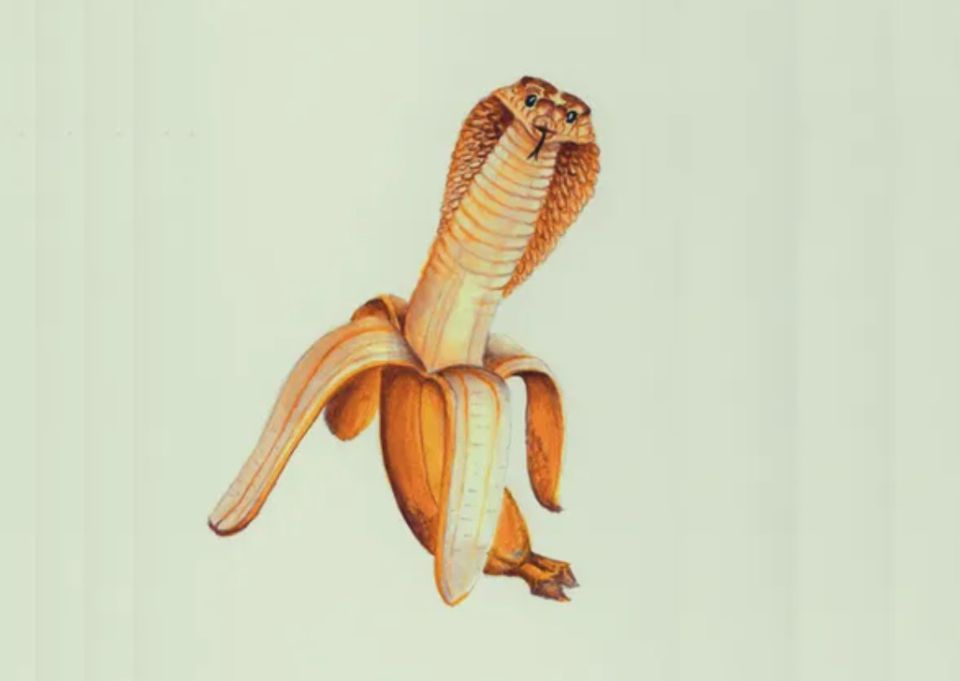 Огромный потенциал оптических иллюзий