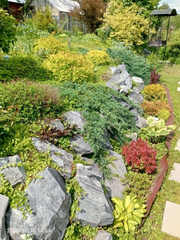 Как яркие акценты украшают ваш сад в любое время года