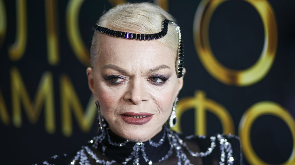 Запутанная история Ларисы Долиной: от телефонного мошенничества до возврата квартиры