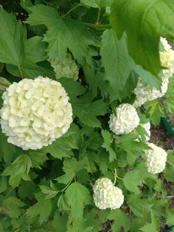 Как общаться с вспыльчивыми людьми и избежать конфликтов