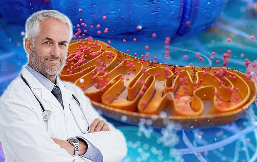 Почему уставать стало легче после 50: разбираемся с митохондриями