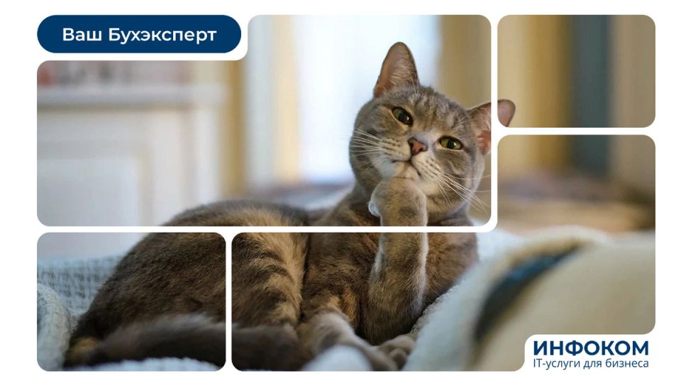 Что ждет упрощенцев в новых налоговых реалиях с 2026 года?