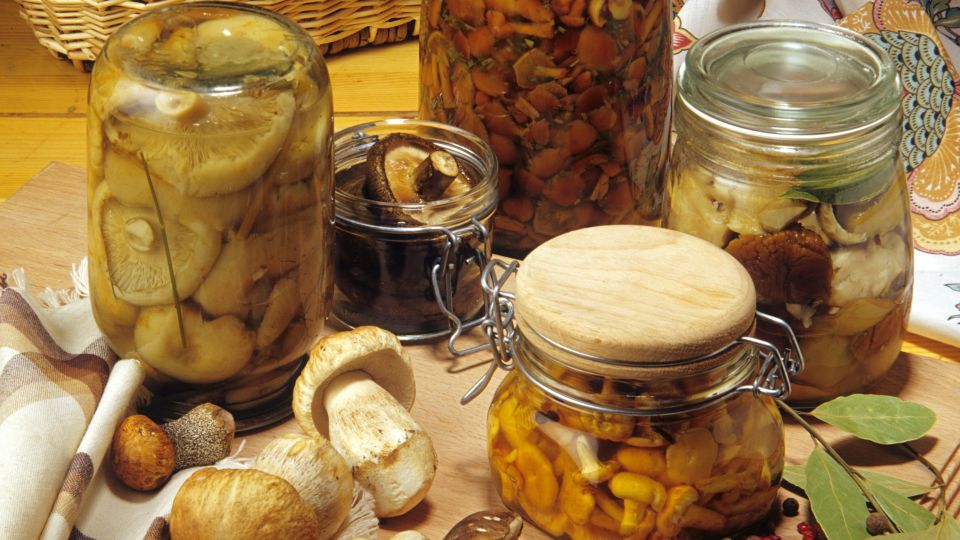 Без лишних хлопот: рецепт соленых груздей в банках от шеф-повара