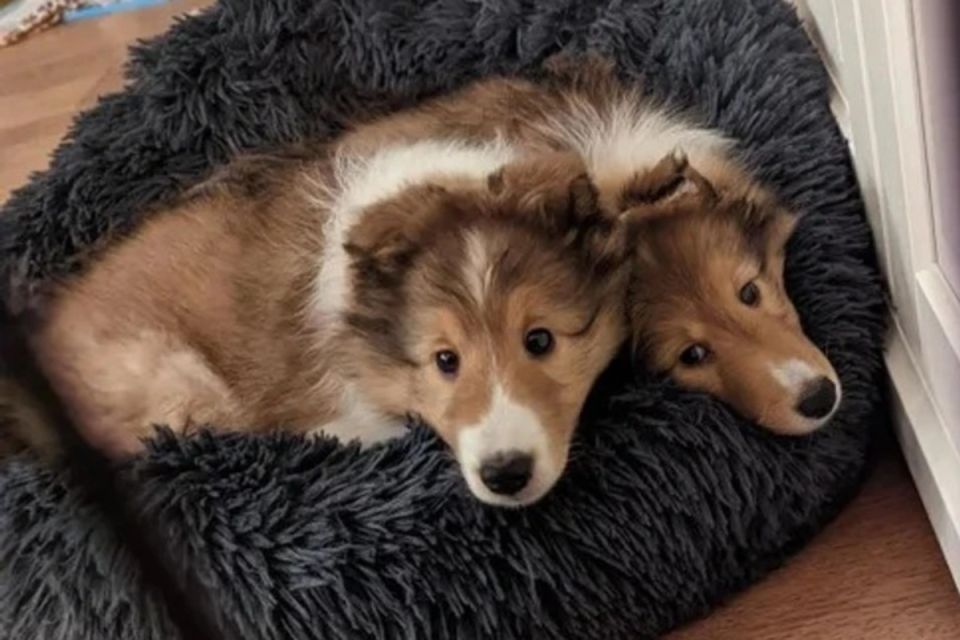 фотографии, которые заставят вас задуматься дважды