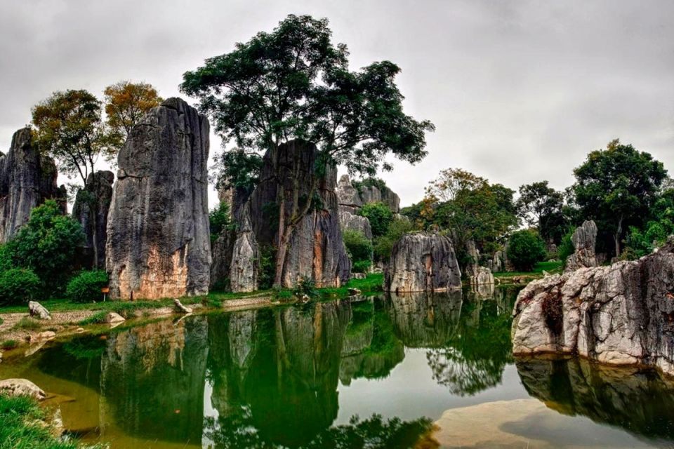 Каменный лес в Китае: необычное чудо природы, поражающее воображение