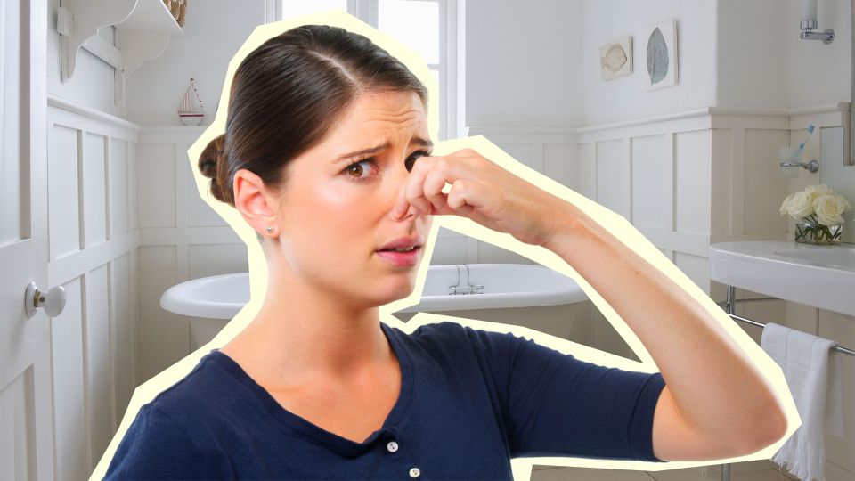 Найден главный сборщик микробов в ванной: грязней только ершик для унитаза