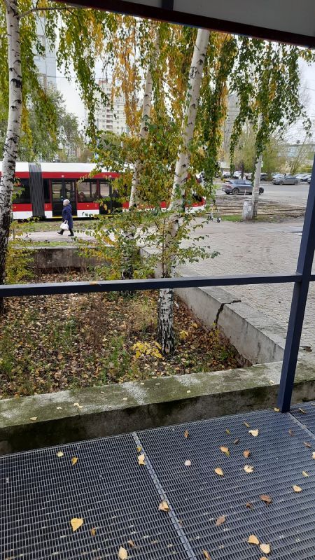 Пенсионерка на пути к новой жизни: как подработка открывает неожиданные горизонты