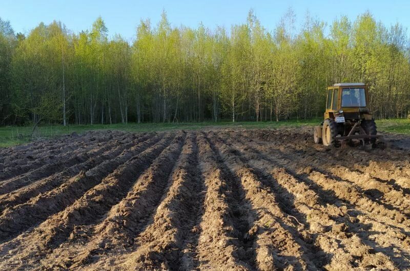Как преобразовать глинистую почву в плодородный огород
