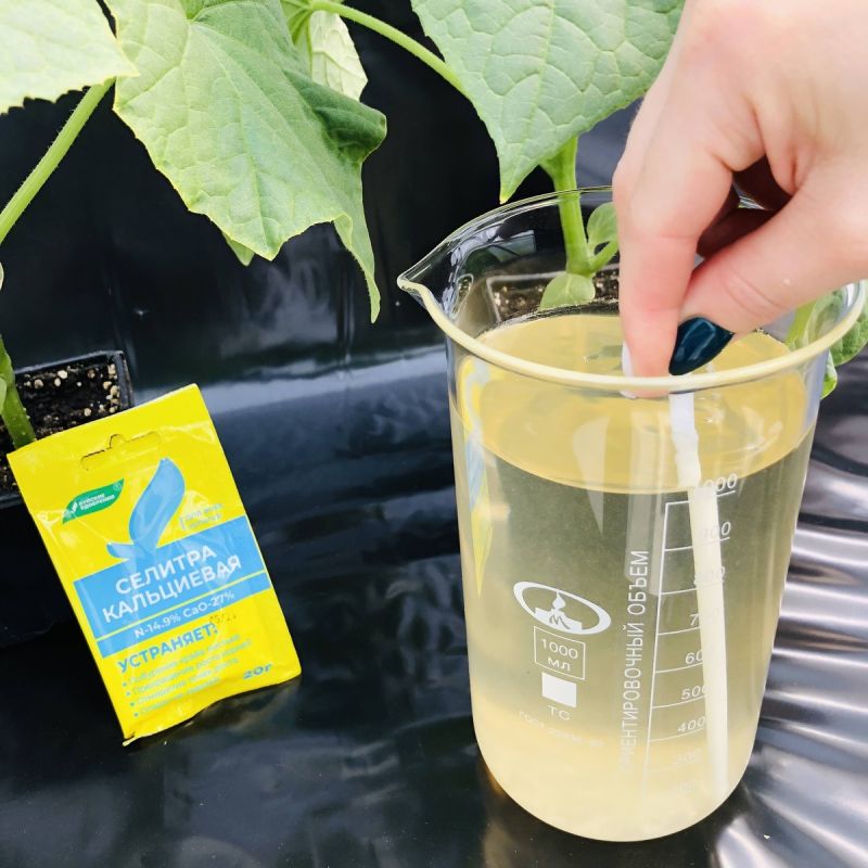 Почему даже в плодородной почве растения страдают от недостатка кальция?