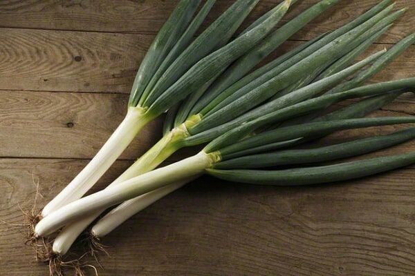 Лук Серёжа: идеальный выбор для огородников в 2025 году