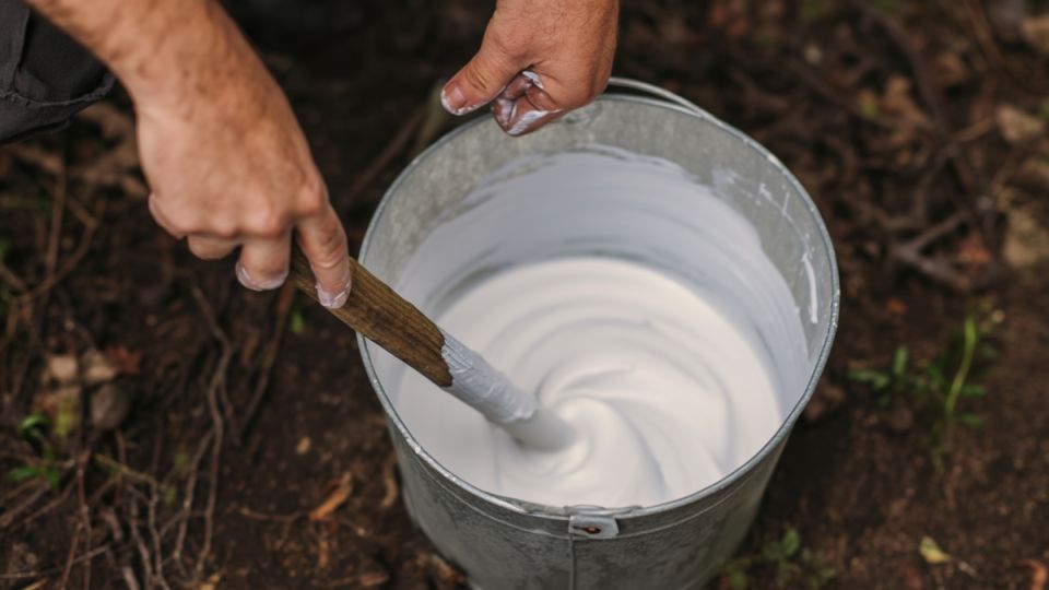 Забытые рецепты побелки деревьев, которые защитят до самой осени