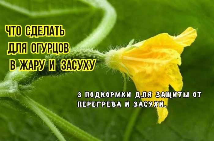 ��� ���������� ������ � ����� � ������: ������� ��������� �����