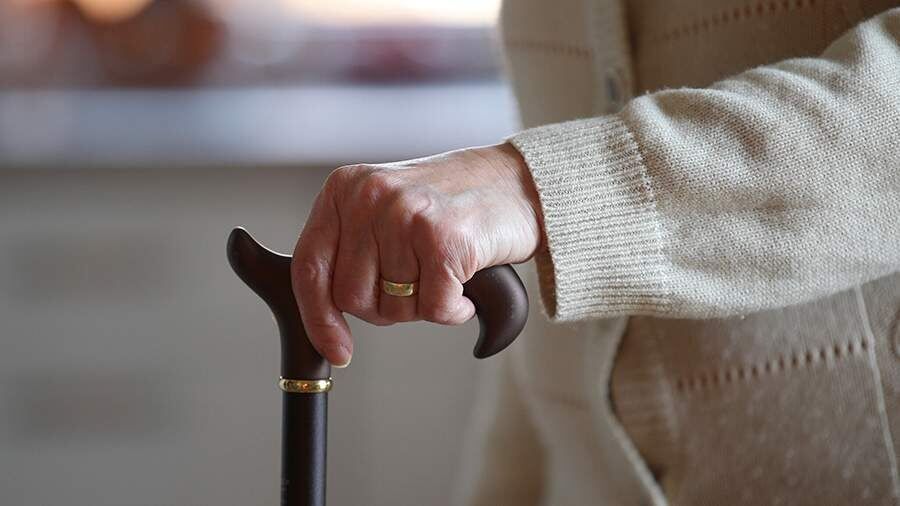 Углеводы: ключ к защите мозга от деменции