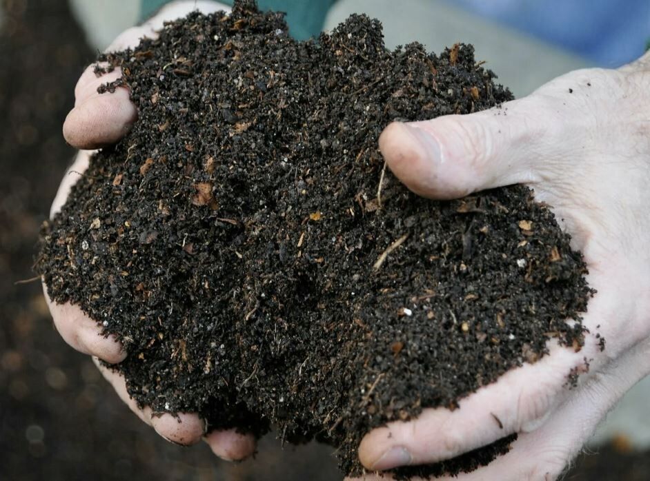 ������� �� �����: ������������� ������� � �������� ���������� �������