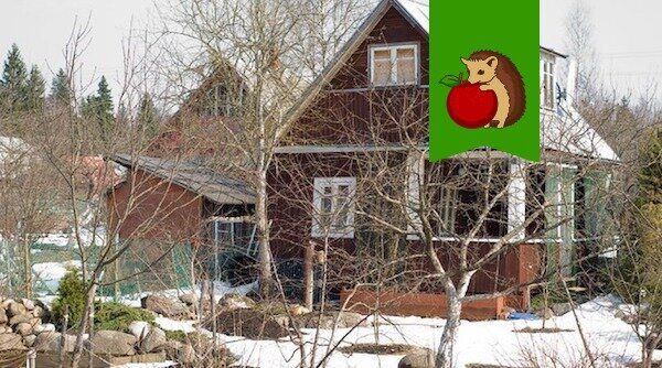 ��� ���������� �� ������ �������� � ������ ����: ������� ������