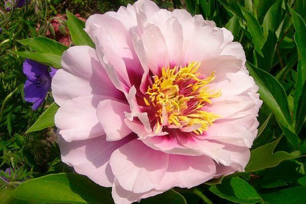 ���� ���� �����: ��� ��������� ��������� ������ ����