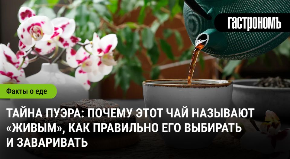 Пуэр: загадочный чай, который изменит ваше представление о вкусе