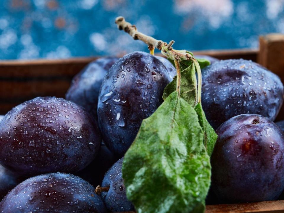 ��� ��������� ����� �� �������: ������� ������� ���������