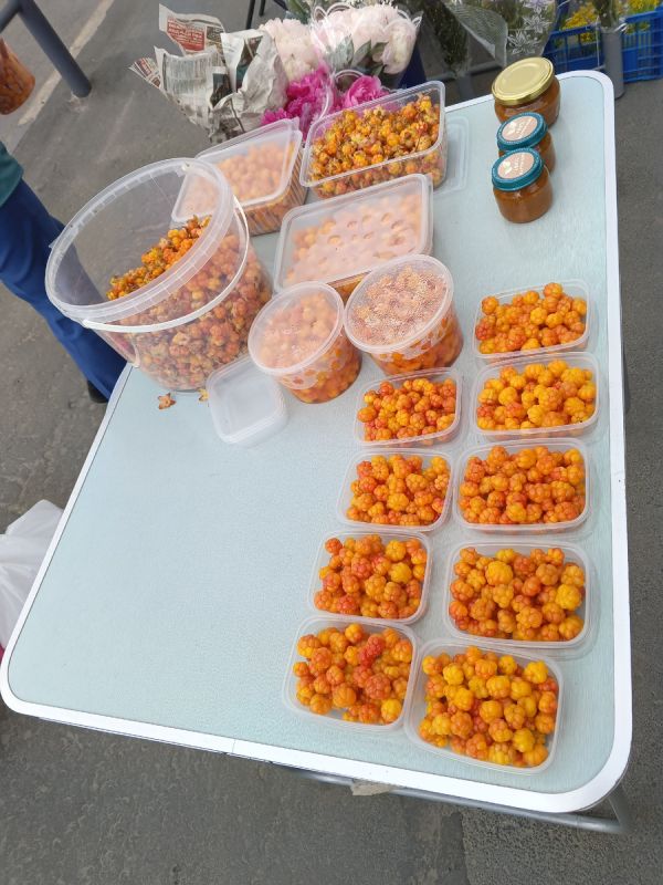 ���������� �������: ������ �� ���� ������, � ���� ���������� ��������� ����������