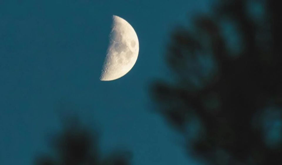 ������������ ����������: ��� 18 �������� ������� ����� ������ �������