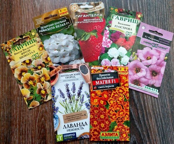 ������� ��������� �������: ��� ����� ����� �� ������� ����� ������