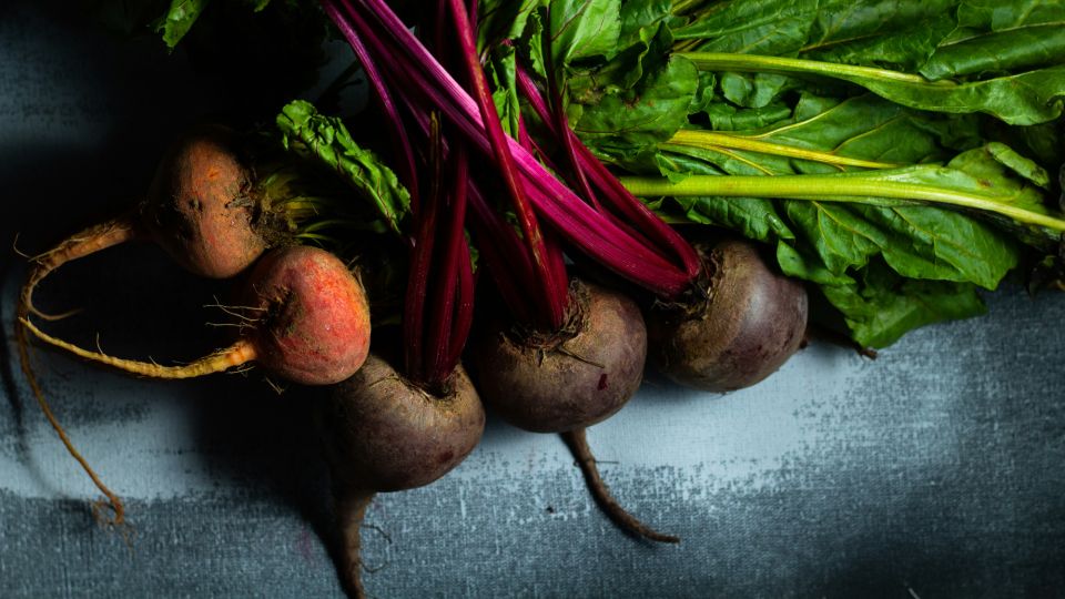 ������ � �������� ������ �� ��������: ��� ��� ������� ������ �� ����� �� 15 �����