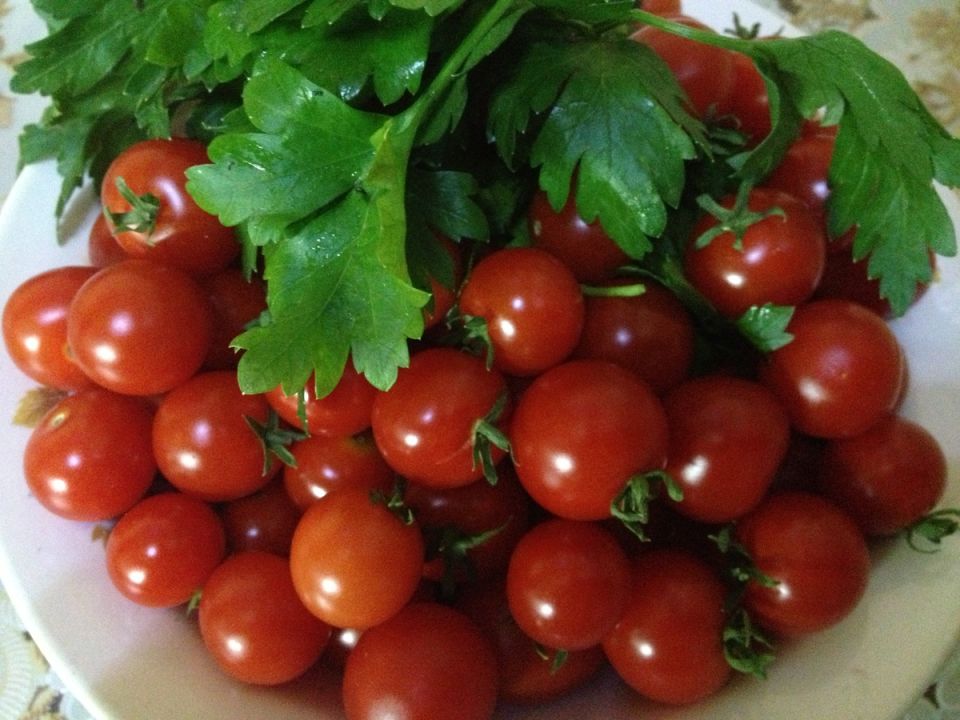 ����������� ������� ����� � ��������� ��������: ��� ������� ��� �����������