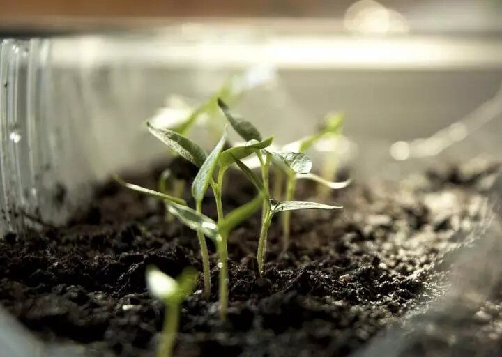 ������ ��������� ������� ����� � 17 �� 23 ������ 2026 ����