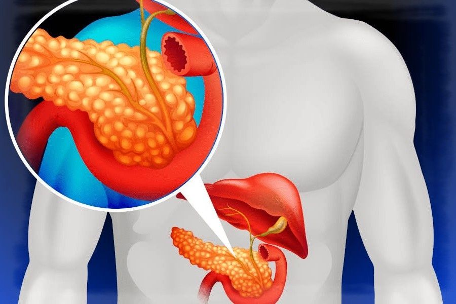 ������� ��������: ��� ���������� ������������� � �������� ����� ������������