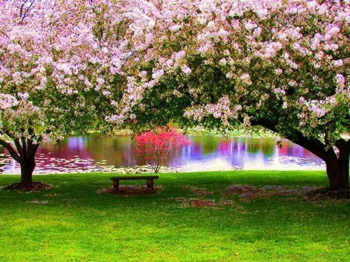 ��� ���������� � ��������� � ����� �������� � ������������ �����