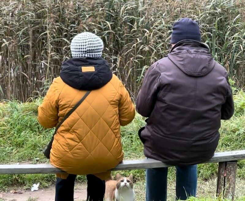 ����� ���������� ����������� ��� �����������: ��������� ��� ������