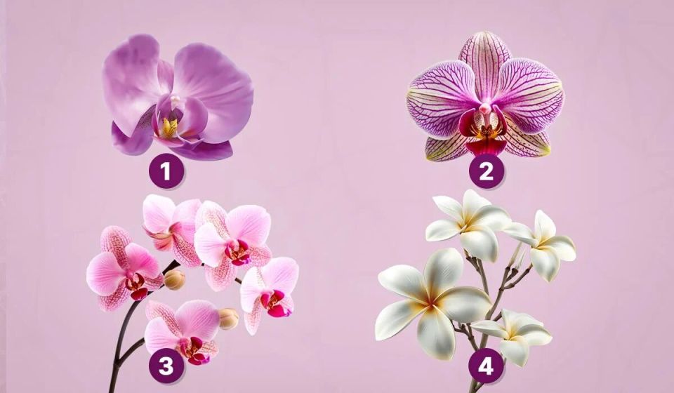 �������� ����� ������ ��������� � ������� ������ �������