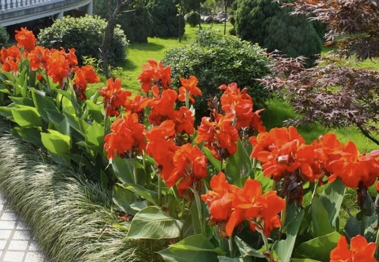 ���������� ������� ���� �����