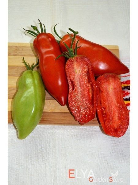 ����� ������: ������� ����������� � ������������ ����