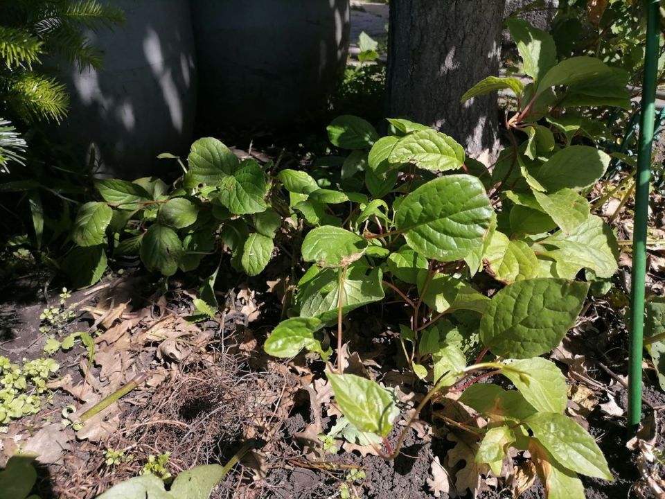 �������� ��������� � ������: ��������� ���� � ������