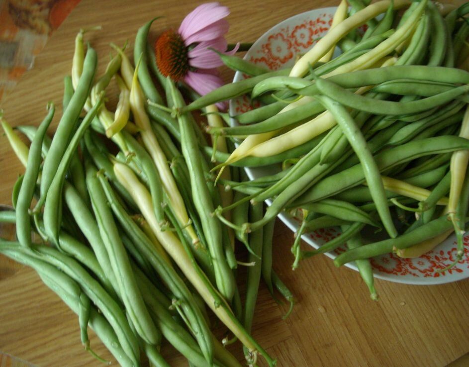 ������ �� �������� ����� ������ ���������� ������: ��� ���������� �������